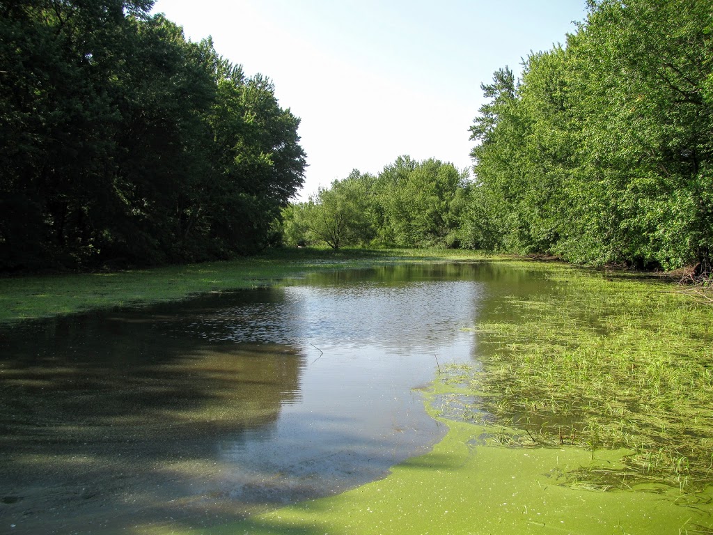 Société de conservation, dinterprétation et de recherche de Ber | Rue de Frontenac, Saint-Ignace-de-Loyola, QC J0K 2P0, Canada