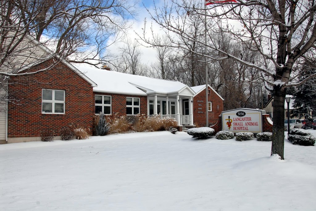 Lancaster Small Animal Hospital | 5156 Genesee St, Bowmansville, NY 14026, USA | Phone: (716) 681-3033