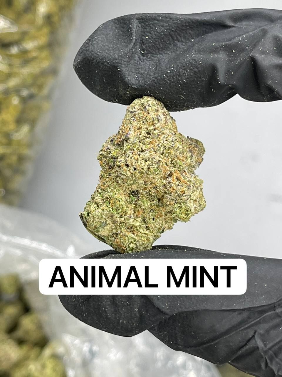 50 Shades of Green Cannabis and psychedelics Ontario | 31 King St N, Cookstown, ON L0L 1L0, Canada | Phone: (406) 849-1326