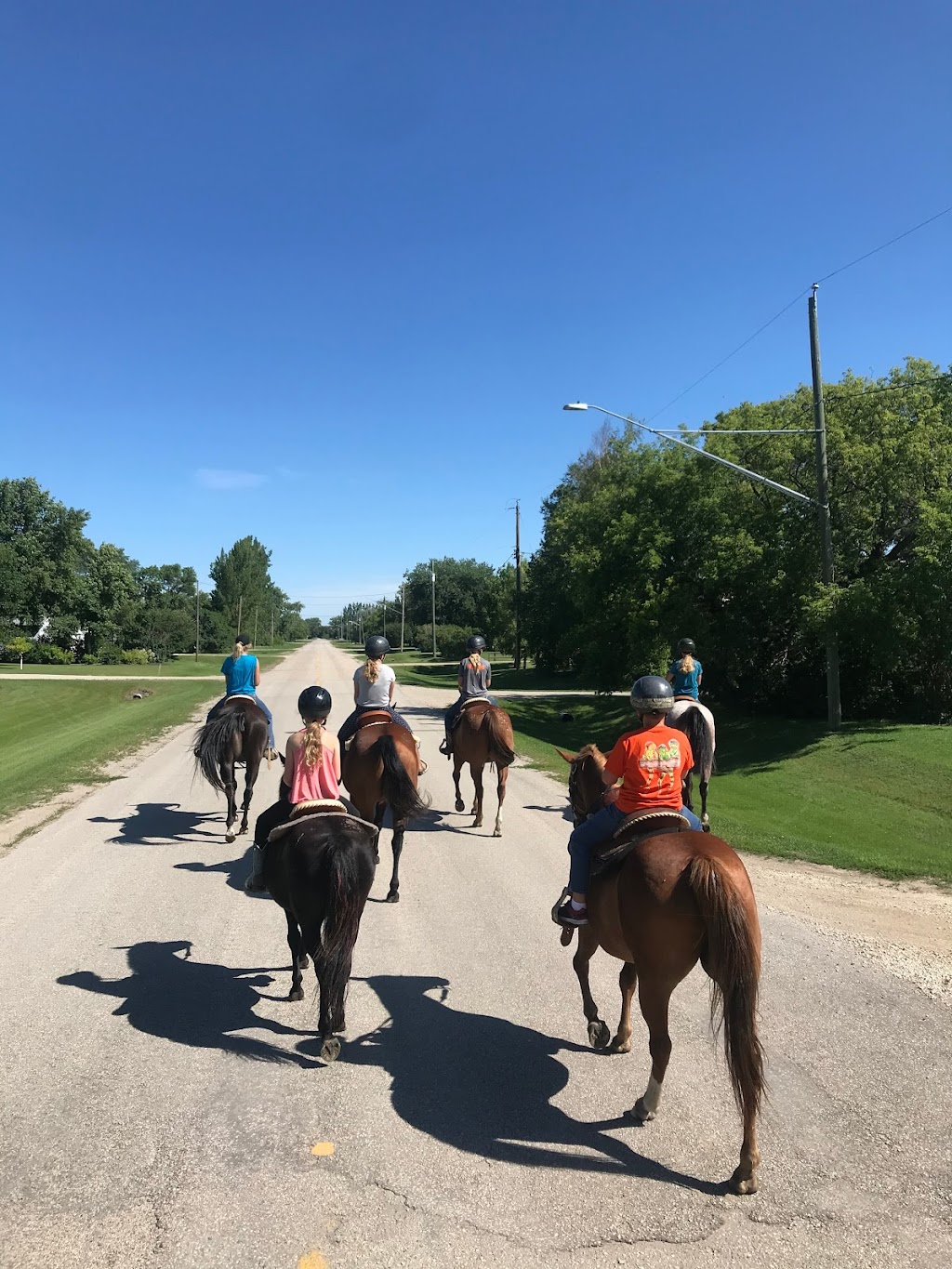 Dustyridge Equine Centre | Osterwick St S RR 1, Osterwick, MB R6W 4A1, Canada | Phone: (204) 362-4075