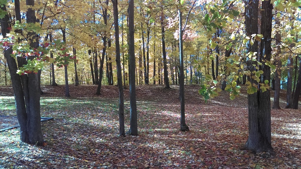 Castillou Park | Rue de Castillou, Gatineau, QC J8T, Canada | Phone: (866) 299-2002