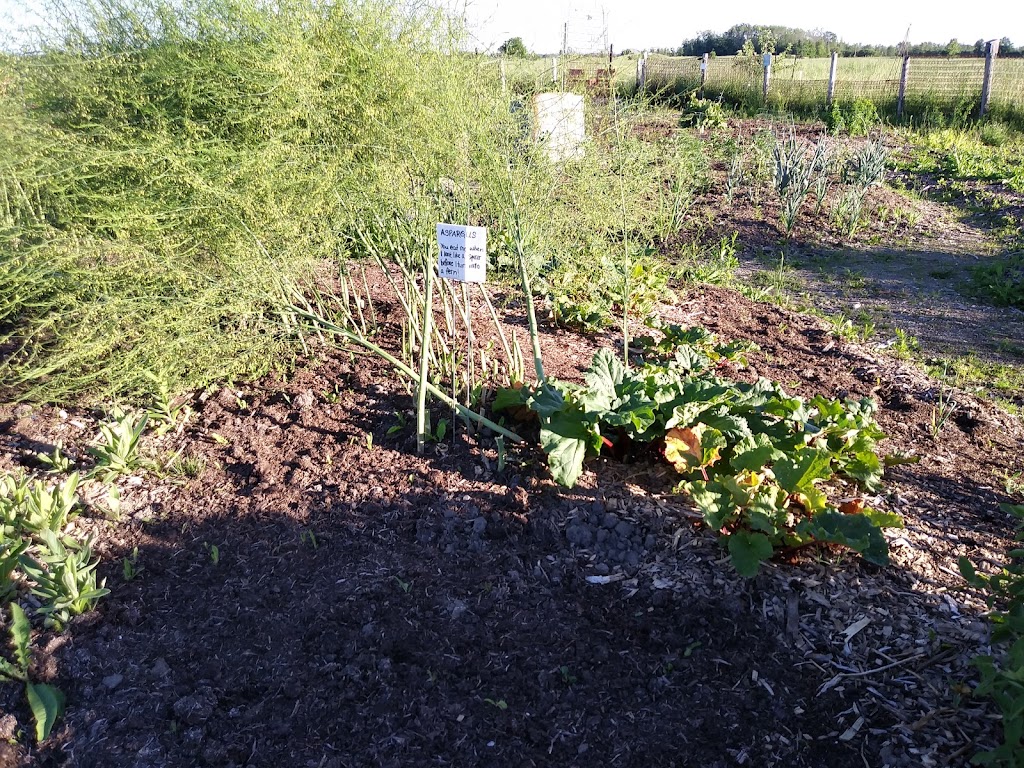 Bruce Botanical Food Gardens | 62 Park St, Ripley, ON N0G 2R0, Canada | Phone: (519) 395-3735