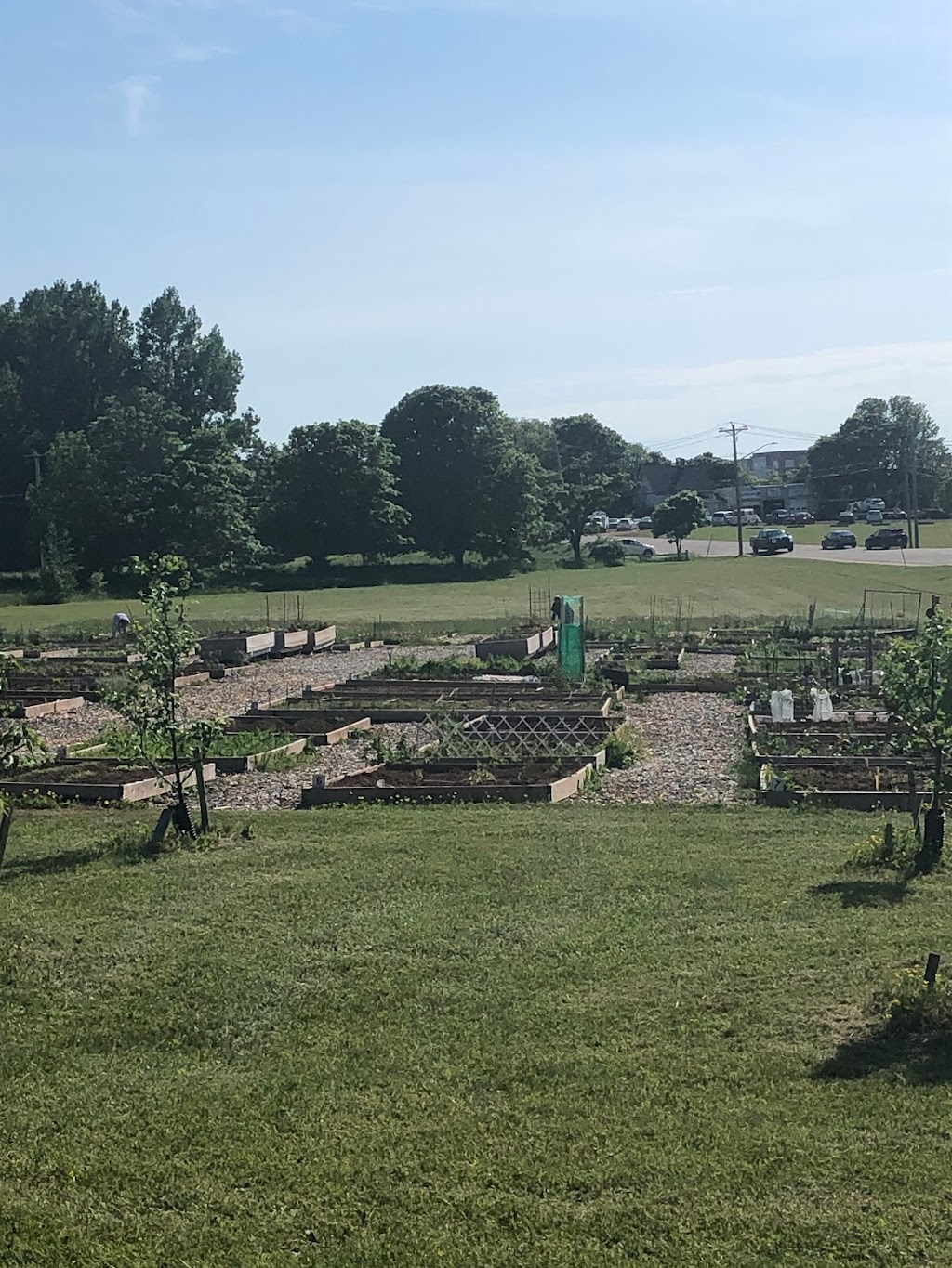 Stratford Community Gardens | 234 Shakespeare Dr, Stratford, PE C1B 1T8, Canada | Phone: (902) 367-3605