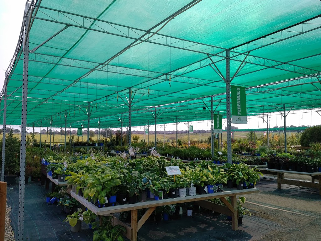 Baseline Nursery and Garden Centre | 9070 Elviage Dr, London, ON N6K 4N5, Canada | Phone: (519) 657-1265