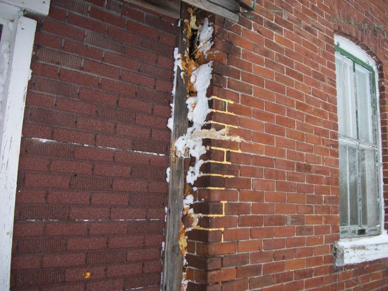 Paragon Inspections | 265 Superior St, Stayner, ON L0M 1S0, Canada | Phone: (705) 790-3013