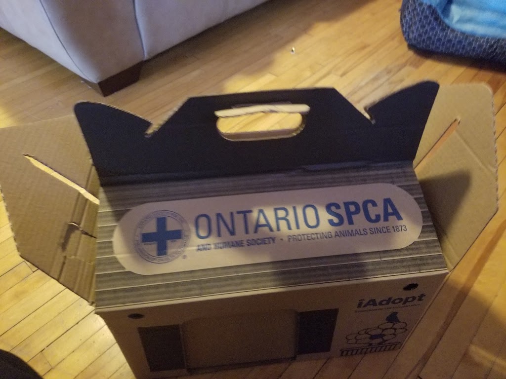 Cambridge & District Humane Society | 1650 Dunbar Rd, Cambridge, ON N1R 8J5, Canada | Phone: (519) 623-7722