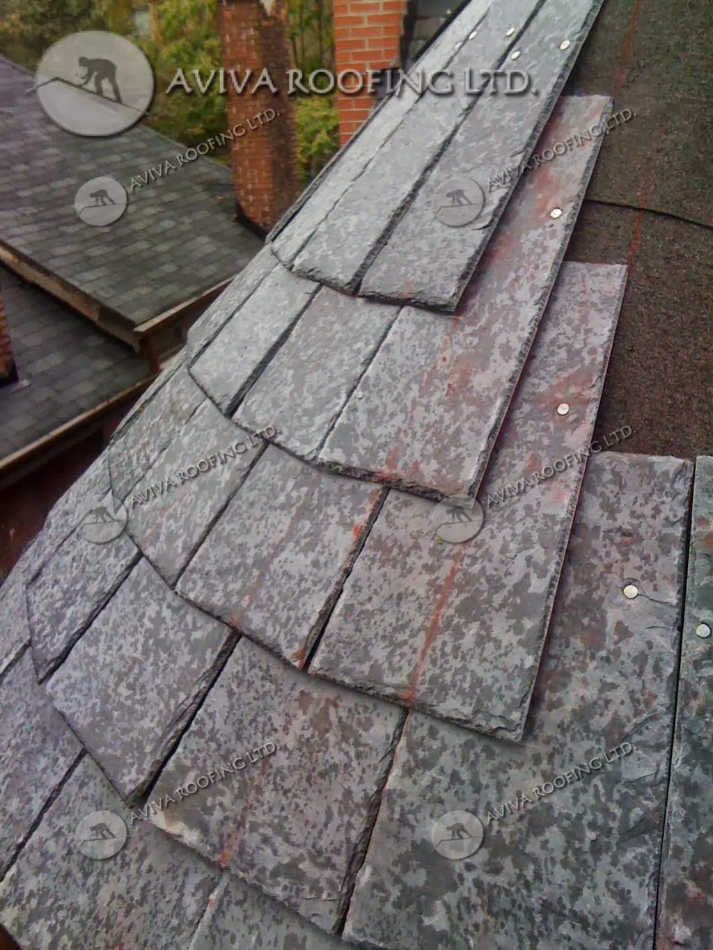 Aviva Roofing Ltd | 10 Alness St, North York, ON M3J 2K1, Canada | Phone: (416) 795-7700