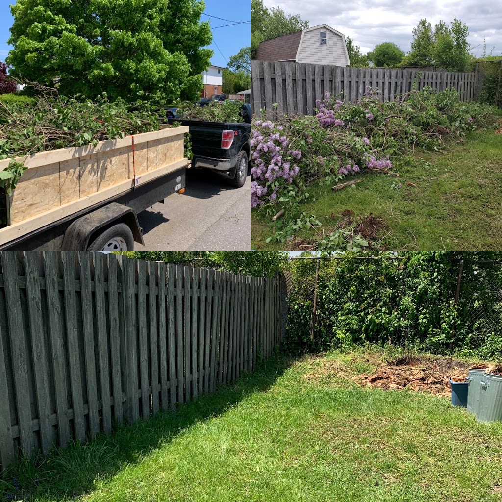 Scotts Junk and Beyond | 64 McCallum St, Hampton, ON L0B 1J0, Canada | Phone: (905) 439-1520