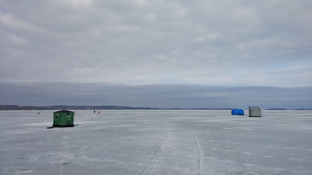 Rice Lake Marina | 4997 Rice Lake Dr N, Bewdley, ON K0L 1E0, Canada | Phone: (289) 675-7904