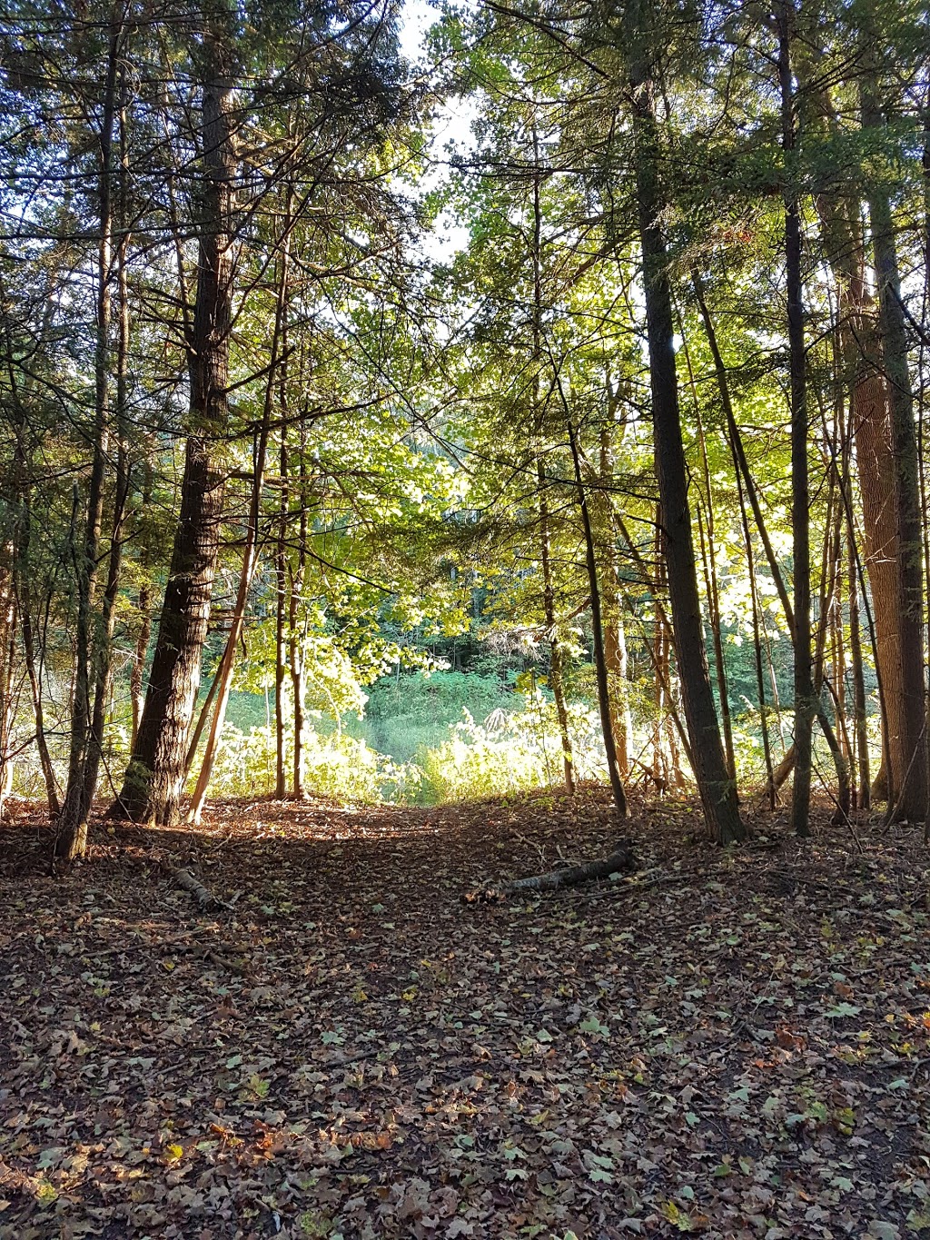 Stephens Gulch Conservation Area | L1C 4V7, 367 Stephens Mill Rd, Bowmanville, ON L1C 4V7, Canada