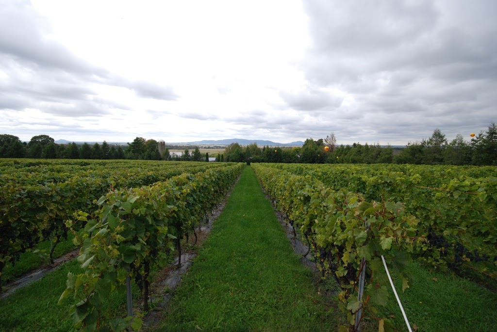 Vignoble Les Petits Cailloux | 625 Rang de la Montagne, Saint-Paul-dAbbotsford, QC J0E 1A0, Canada | Phone: (450) 379-9368