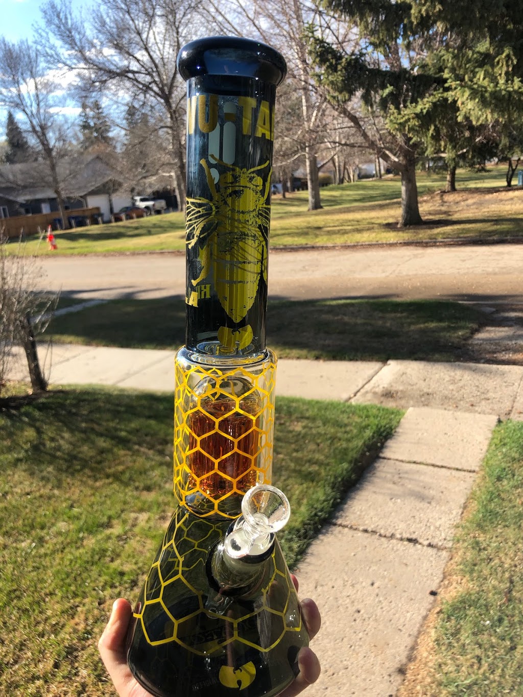 Apollo 11 Glass Online Saskatoon Head Shop | Saskatoon, SK S7J 0C2, Canada | Phone: (306) 270-7656