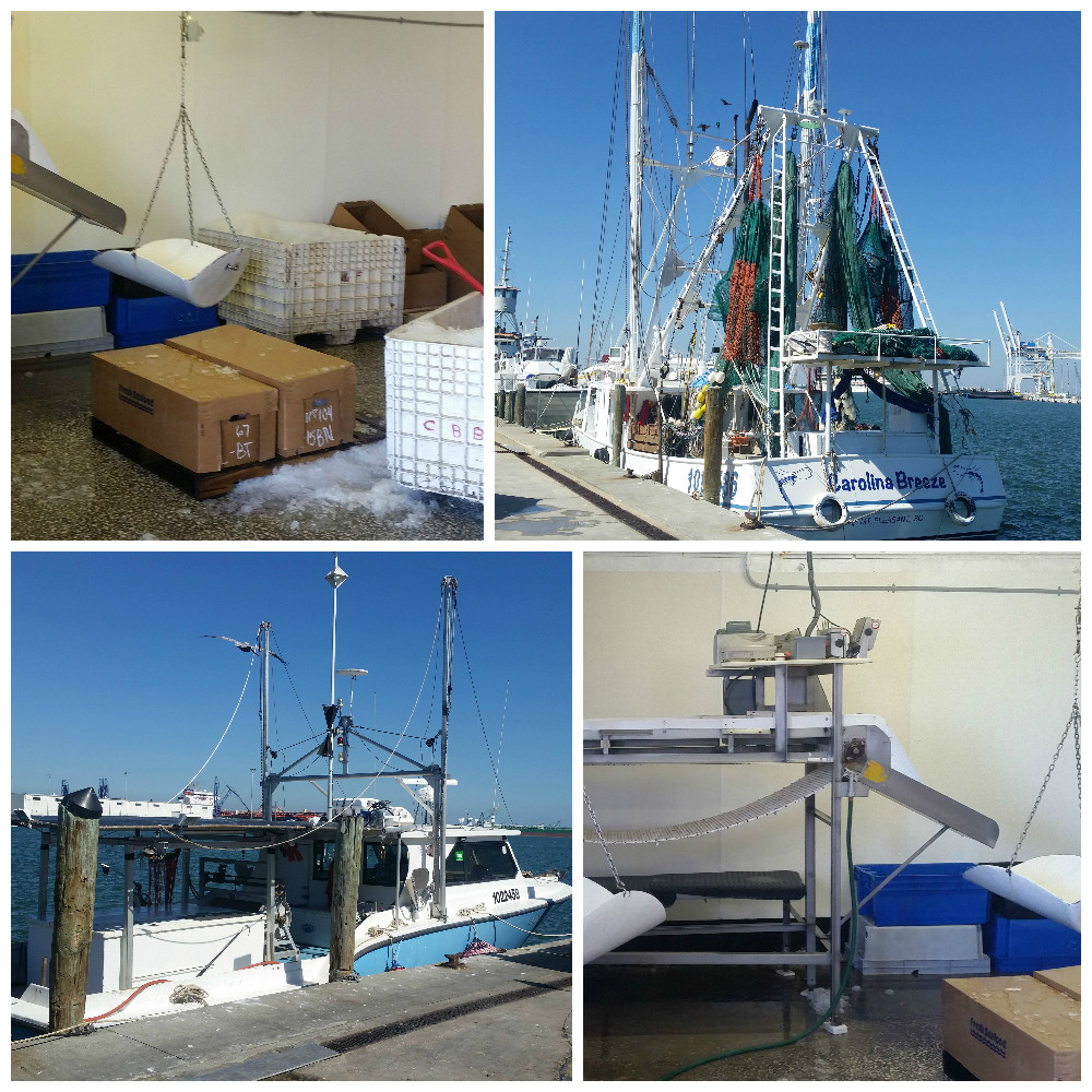Seacore Seafood Inc. | 81 Aviva Park Dr, Woodbridge, ON L4L 9C1, Canada | Phone: (905) 856-6222