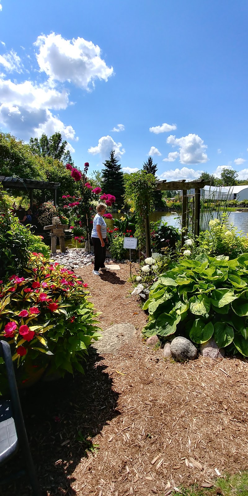 Griffins Greenhouses | 3026 Lakefield Rd, Peterborough, ON K9J 6X5, Canada | Phone: (705) 652-8638