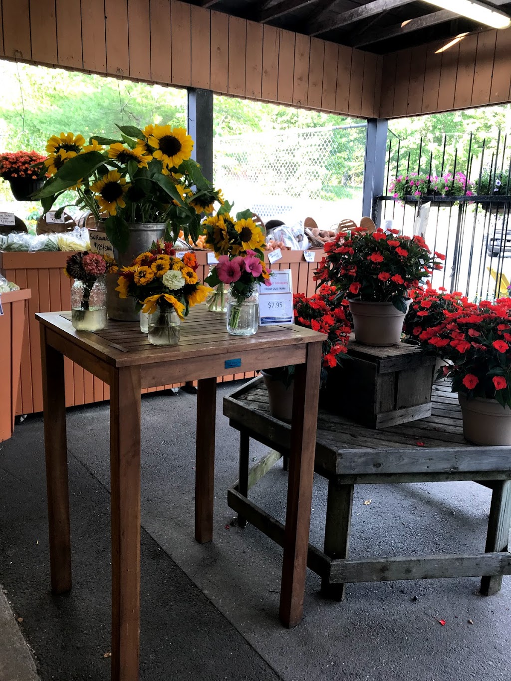 Wiles Lake Farm Market & Bakery | 3254 NS-325, Wileville, NS B4V 5G8, Canada | Phone: (902) 543-6082