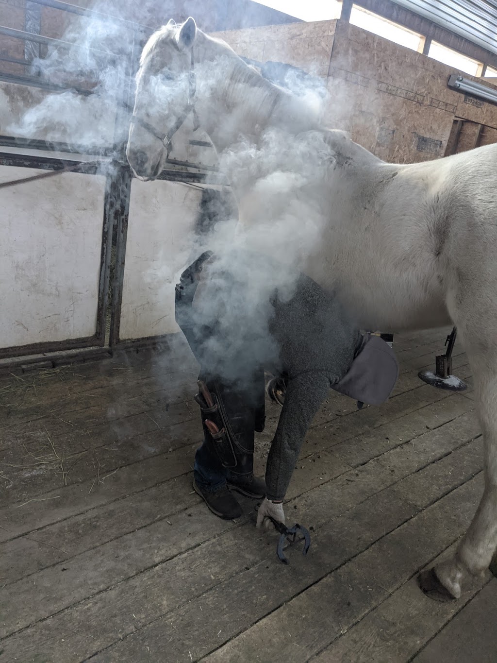 Frances Lillian Stables | 80 157 578 ave W, AB T0L 0P0, Canada | Phone: (587) 891-6366