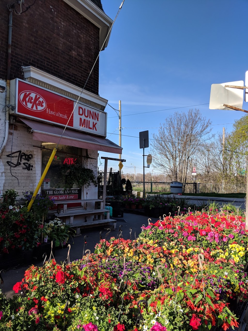 Dunn Milk | 65 A Dunn Ave, Toronto, ON M6K 2R5, Canada