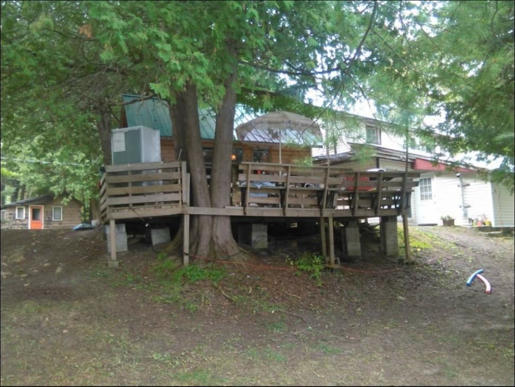 Cedar Lodge | campground | 1120 Head Rd, Cloyne, ON K0H 1K0, Canada | 9055920150 OR +1 905-592-0150