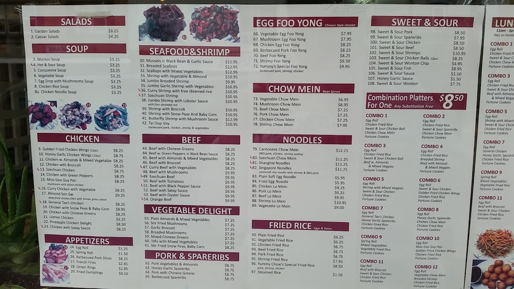 Yummy Chow Chinese Restaurant | 162 Main Street of Delhi, Delhi, ON N4B 2L9, Canada | Phone: (519) 582-3938