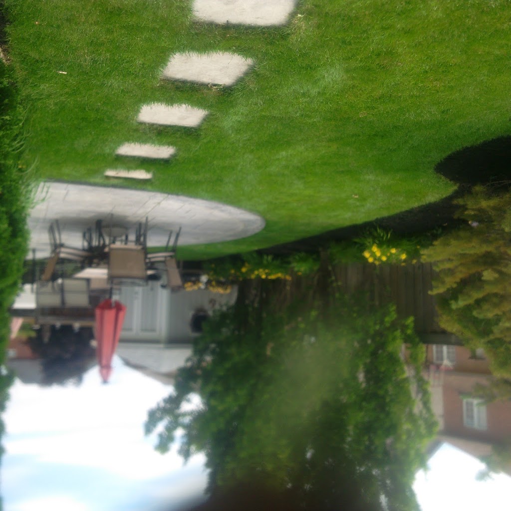 British Green Gardener | #46, Brampton, ON L6T 1V1, Canada | Phone: (647) 527-8808