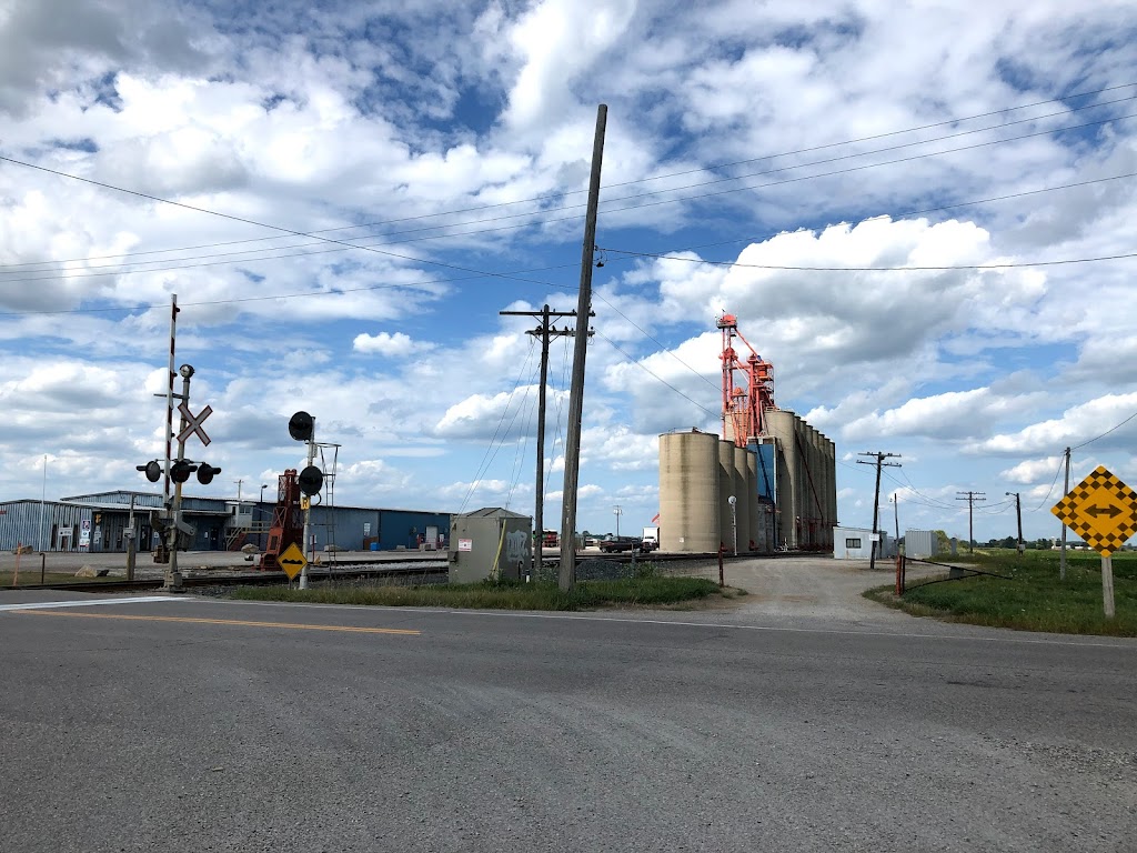 Glencoe Grain & Seed Co | 23312 Dundonald Rd, Glencoe, ON N0L 1M0, Canada | Phone: (519) 287-3317