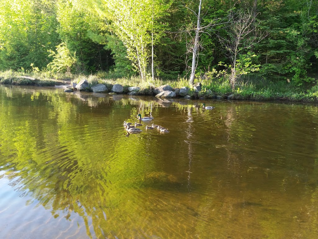 Wilkins Beach | Barrie, ON L4M 0C3, Canada