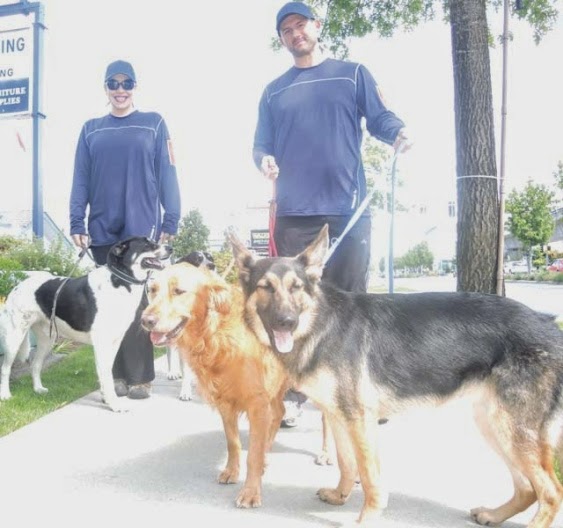 "The Woofer Walkers" GPS Tracked Dog Walking | Francis rd, No 2 Rd, Richmond, BC V7C 1K5, Canada | Phone: (778) 838-9255