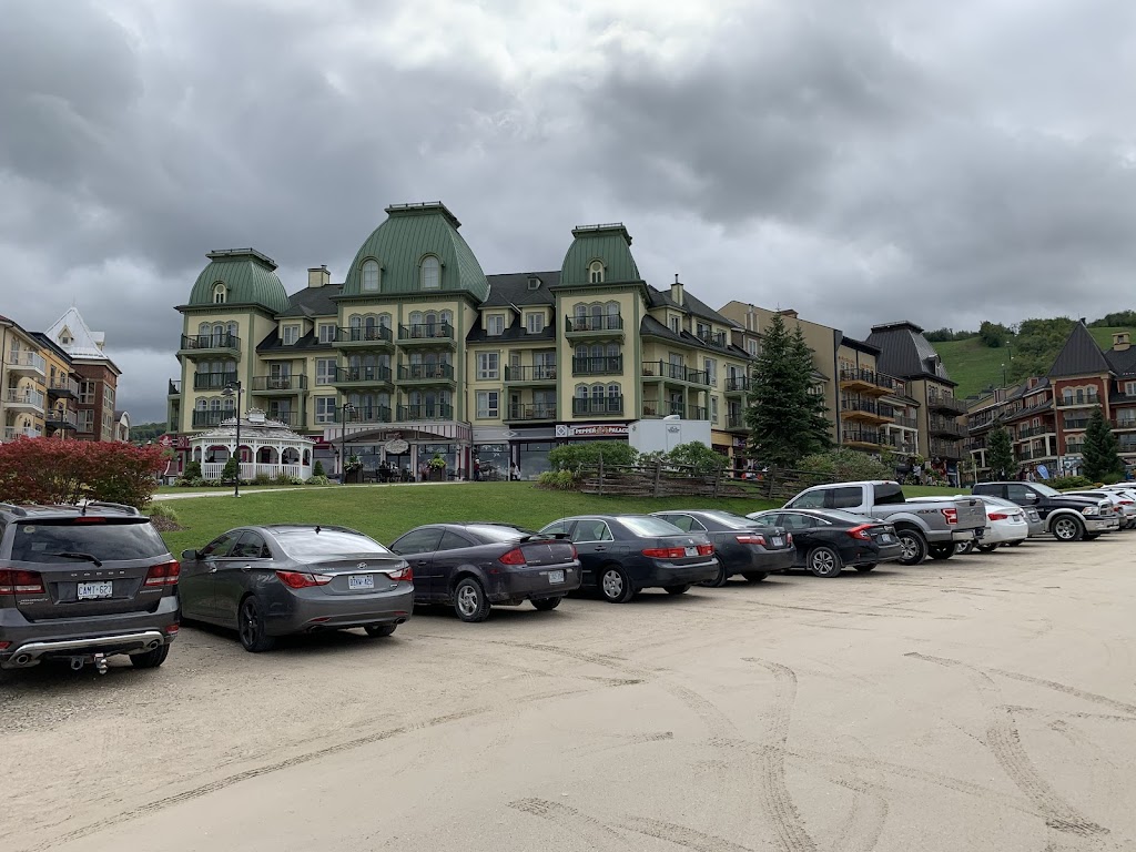 Mandeep Chauhan - Realtor | 7 Deerfield Ln, Ancaster, ON L9K 0K2, Canada | Phone: (905) 979-8200