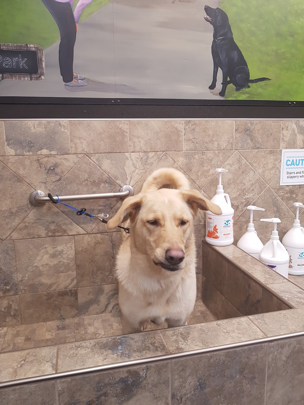 Pet Valu | 11440 Braeside Dr SW, Calgary, AB T2W 3N4, Canada | Phone: (403) 454-0301