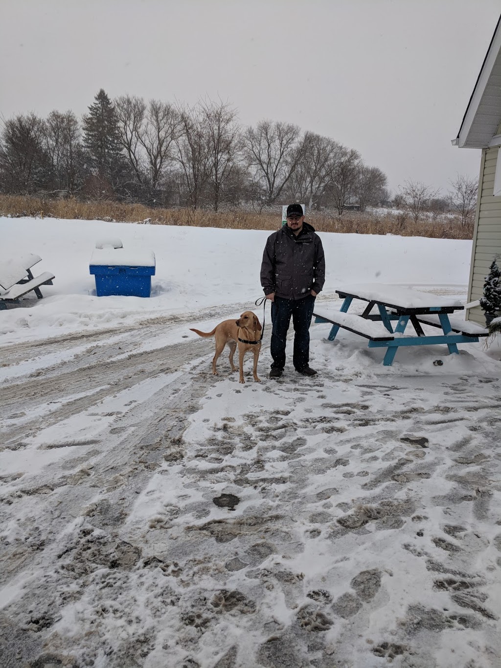 Mutt Lodge | 3325 ON-7, Pickering, ON L1X 2W3, Canada | Phone: (905) 655-8401