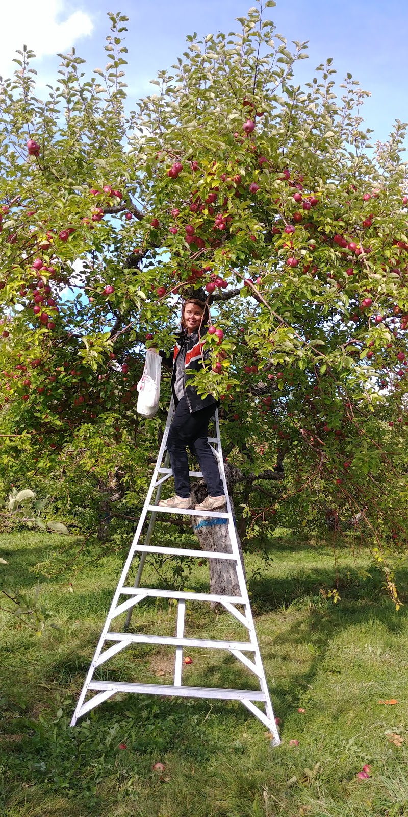Verger Nicolet Pomme Bleuet | 5760 Rte Principale, Grand-Saint-Esprit, QC J0G 1B0, Canada | Phone: (819) 289-2101