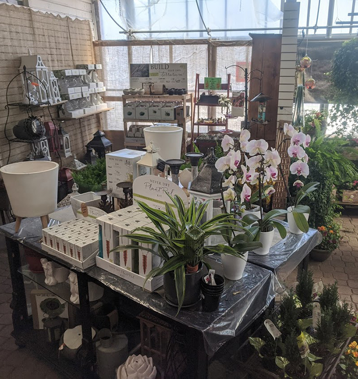 McKnights | 41 Lansdowne St W, Peterborough, ON K9J 1X8, Canada | Phone: (705) 749-1530