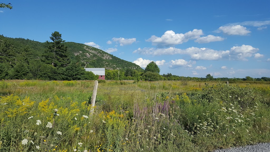 Luskville Falls Trail | Chemin de lHôtel de Ville, Luskville, QC J0X 2G0, Canada | Phone: (819) 827-2020