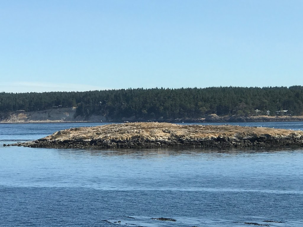 Cattle Point Interpretive Area | 5468-6432 Cattle Point Rd, Friday Harbor, WA 98250, USA