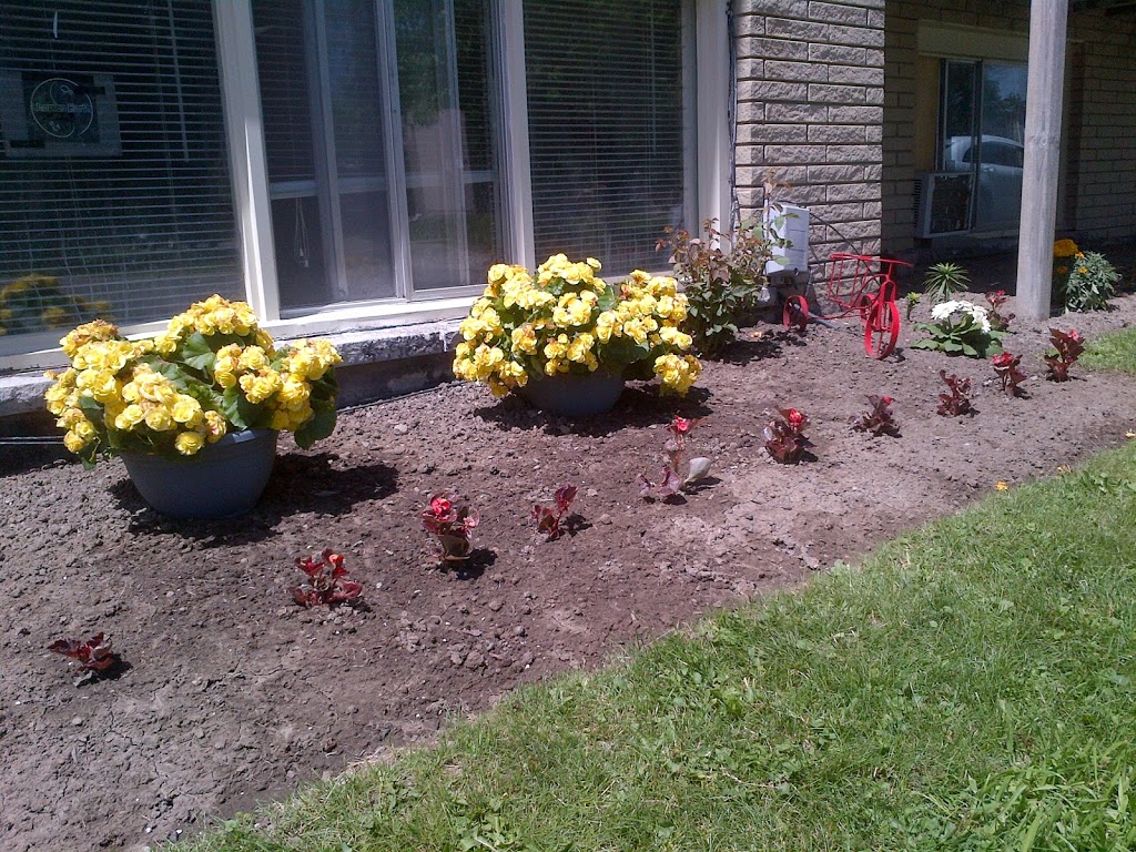 Utopian Earth | 10 Bonfield Pl, Kitchener, ON N2E 1H5, Canada | Phone: (519) 744-2891