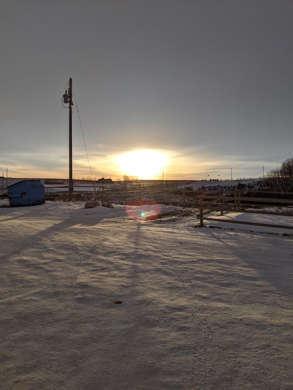 Becker Ranch | Range Rd 14, Balzac, AB T0M 0E0, Canada | Phone: (403) 651-8222