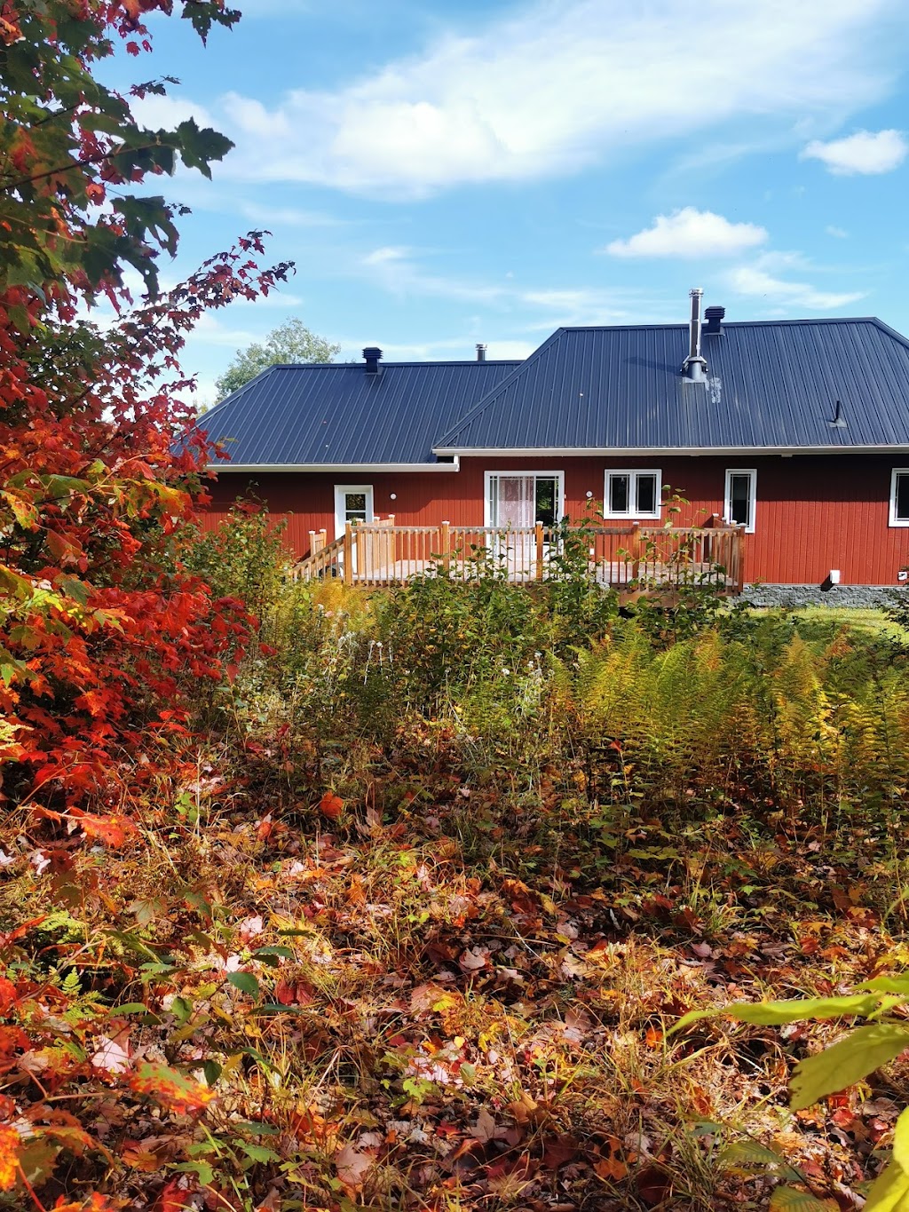 Zenderfull | 4410 Chem. de la Montagne, Val-Racine, QC G0Y 1E1, Canada | Phone: (514) 549-5791