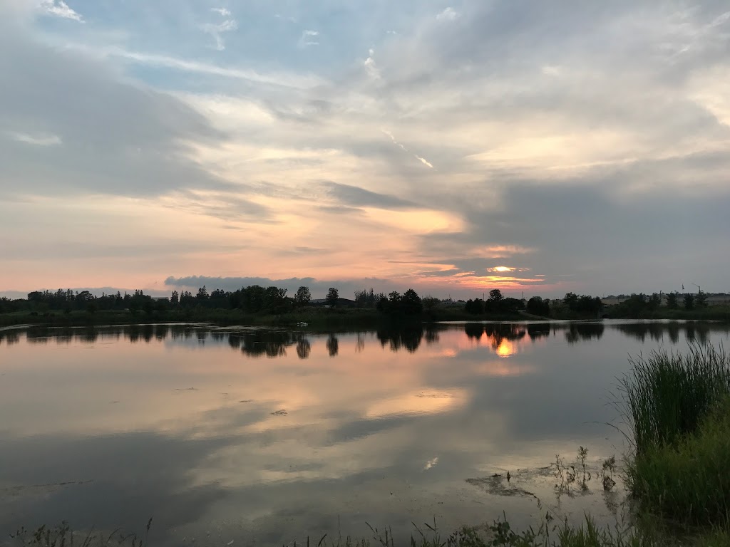 Rougeview Dog Park | 300 Rougeview Ave, Whitchurch-Stouffville, ON L4A 0G5, Canada