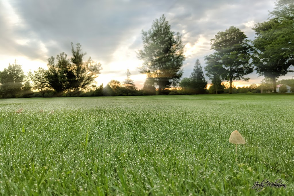 Pebblestone Golf Course | 1550 Pebblestone Rd, Courtice, ON L1E 2K6, Canada | Phone: (905) 725-7452