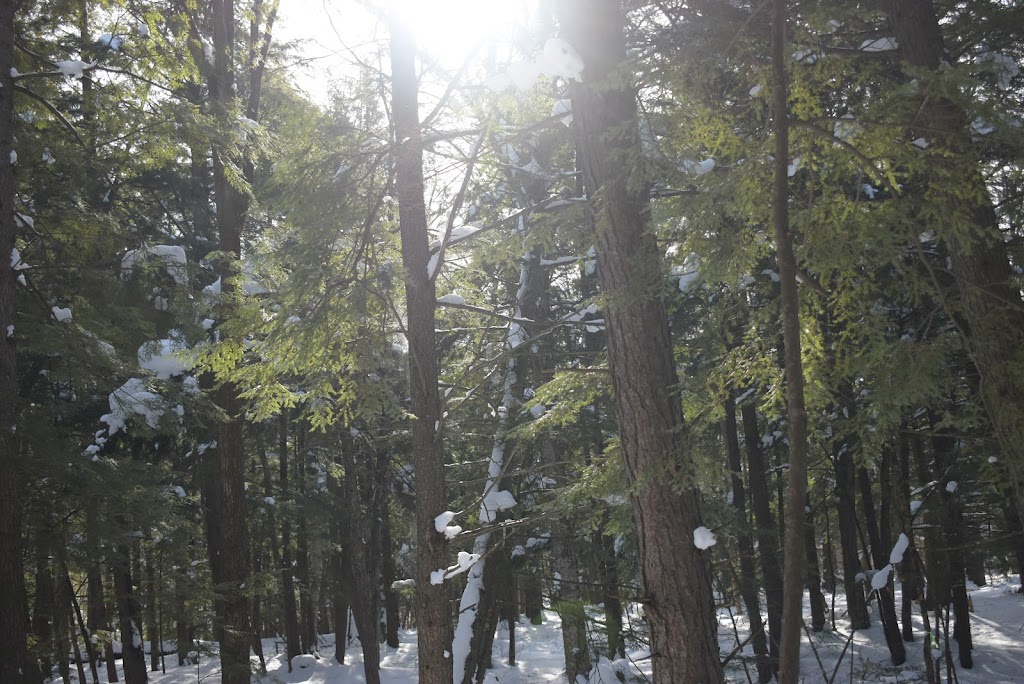 Base Richmond Melbourne Ski Center | 70 Chem. Lay, Melbourne, QC J0B 2B0, Canada | Phone: (819) 826-3869