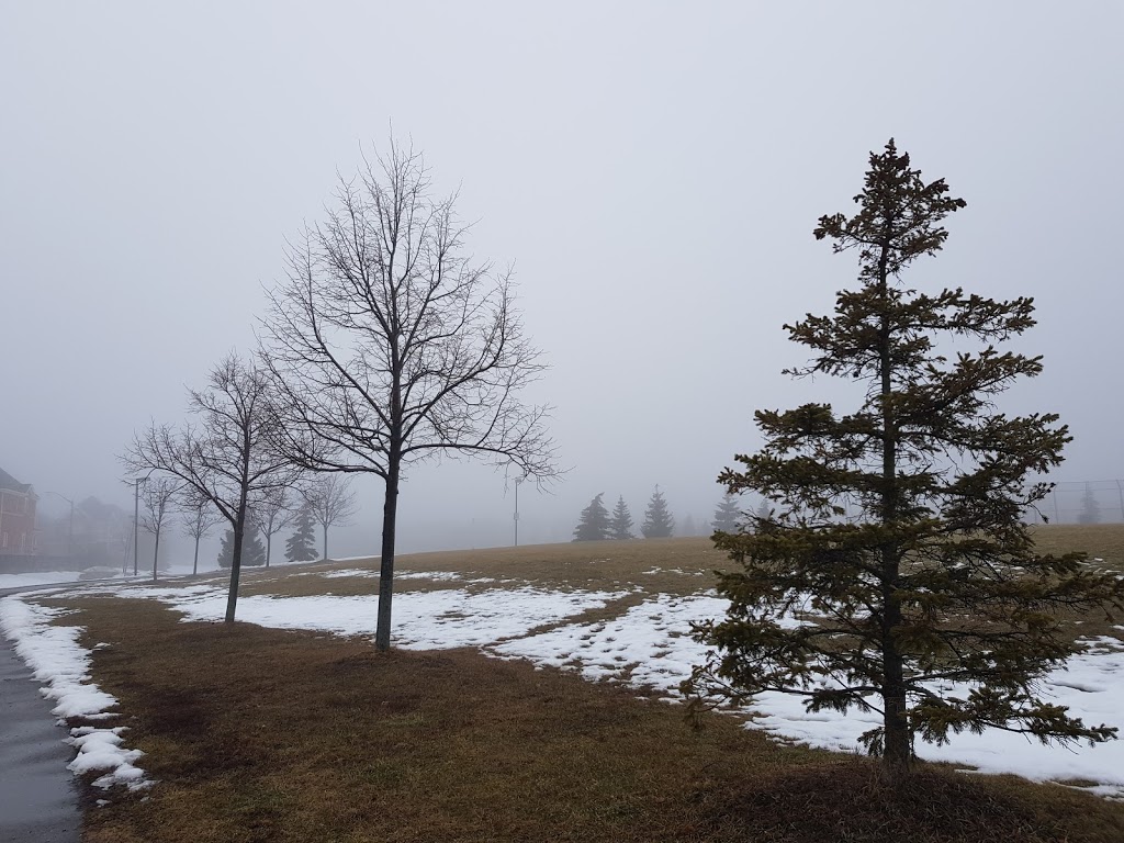 Duncairn Downs Park | 71 Duncairn Dr, Mississauga, ON M3B 1C8, Canada | Phone: (905) 615-4311