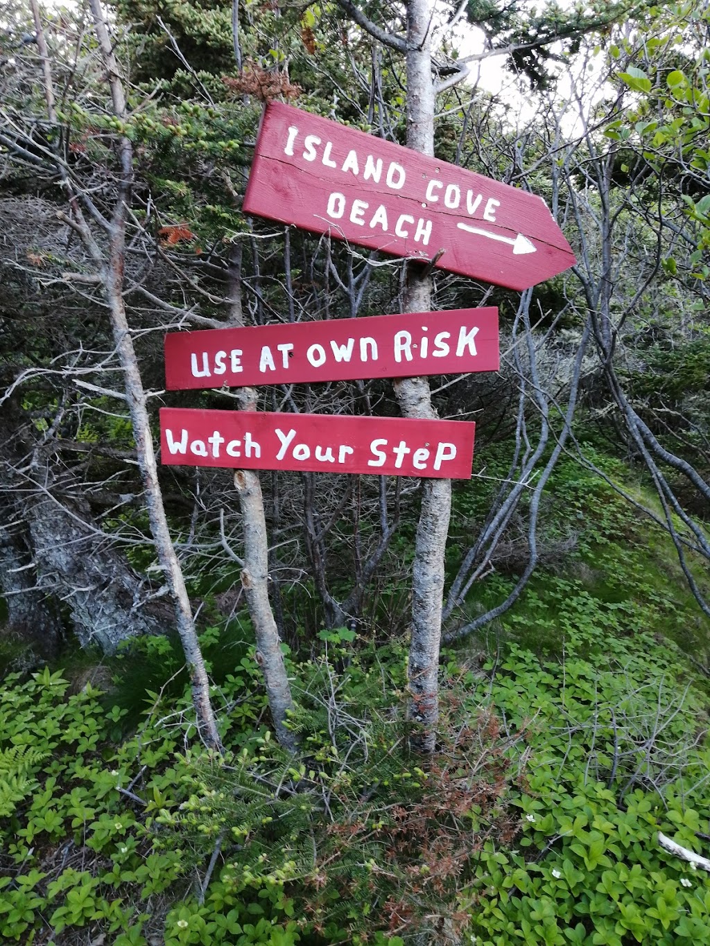 Chance Cove Coastal Hiking Trail | 100 Hwy 16, Chance Cove, NL A0B 1K0, Canada | Phone: (709) 460-4151