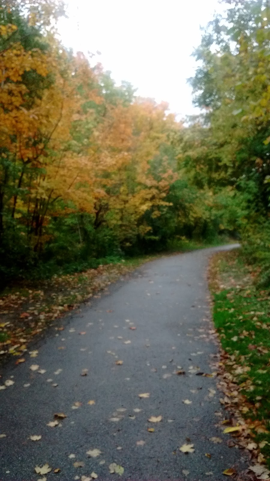 Brookbanks Park | 75 Brookbanks Dr, North York, ON M3A, Canada