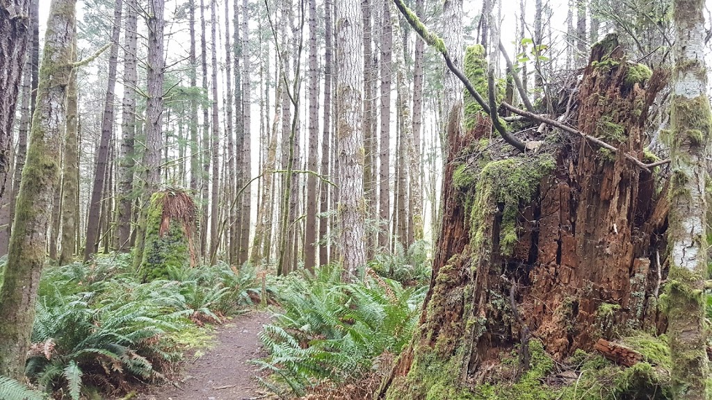 East Sooke Regional Park - Anderson Cove Parking Lot | Sooke, BC V9Z 1B3, Canada