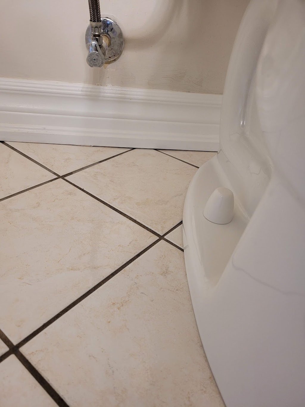 Mas Cleaning Services & More Corp. | 1 St Francis St, Ottawa, ON K1Y 1W6, Canada | Phone: (613) 724-1984