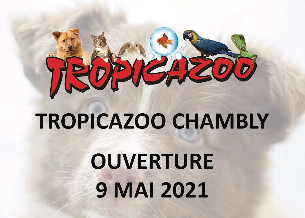 Tropicazoo Chambly | 1975 Bd de Périgny, Chambly, QC J3L 4C3, Canada | Phone: (450) 403-0622