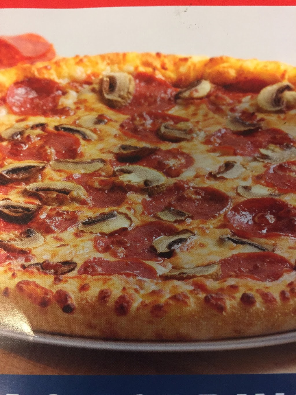 Paesano Pizza | 340 Vine St #5, St. Catharines, ON L2M 4T5, Canada | Phone: (905) 937-6262