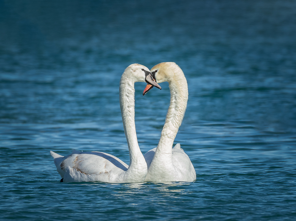 Sandra Lee Randle Photography | 159 Rosebush Rd, Stirling, ON K0K 3E0, Canada | Phone: (905) 472-5812
