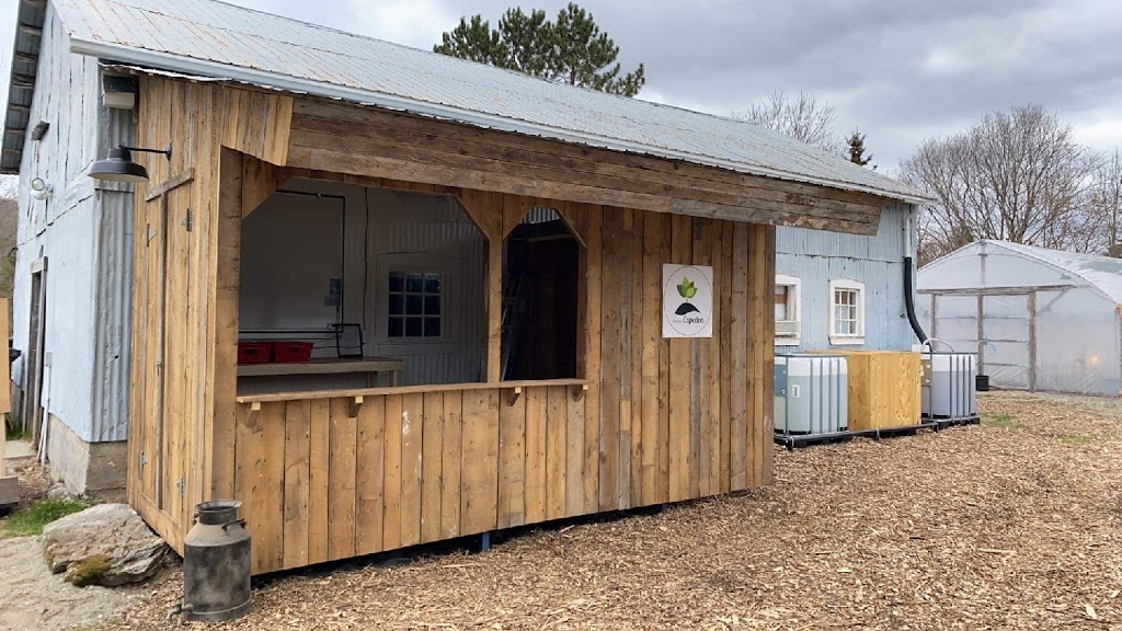 Ferme Capelton | 5195 QC-143, Waterville, QC J0B 3H0, Canada | Phone: (819) 481-0860