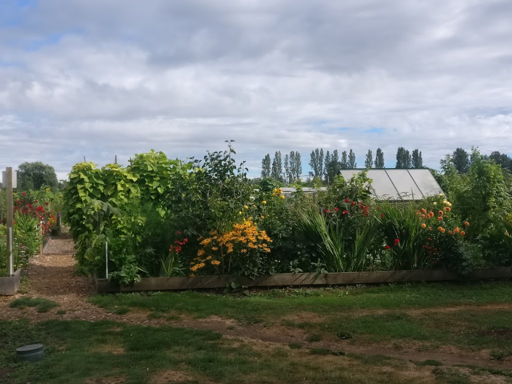 Community Garden | 6012-7528 Meadow Ave, Burnaby, BC V3N 1Y6, Canada